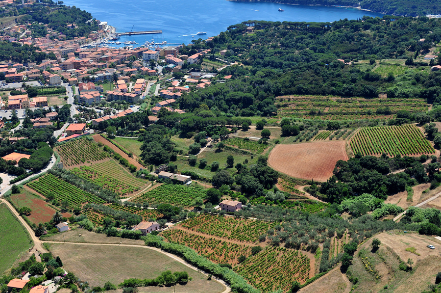 Azienda Agricola Arrighi