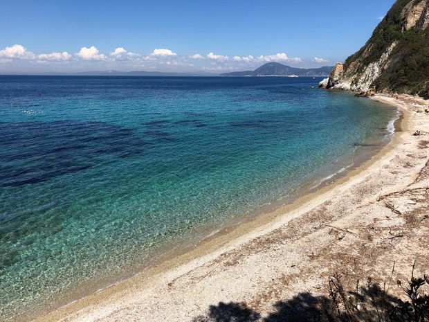 seccione   bruchi in spiaggia