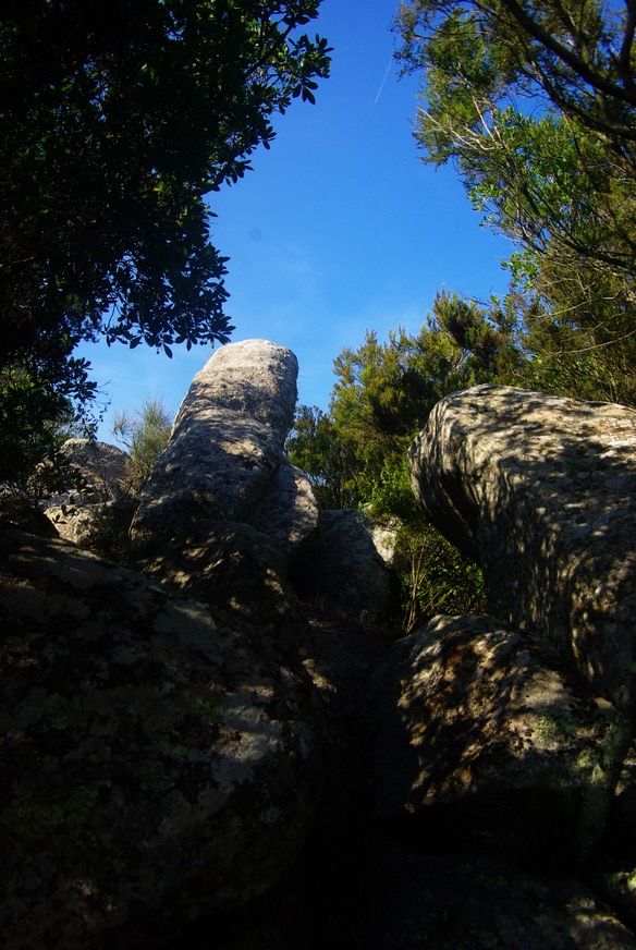 Monte Cocchero 1