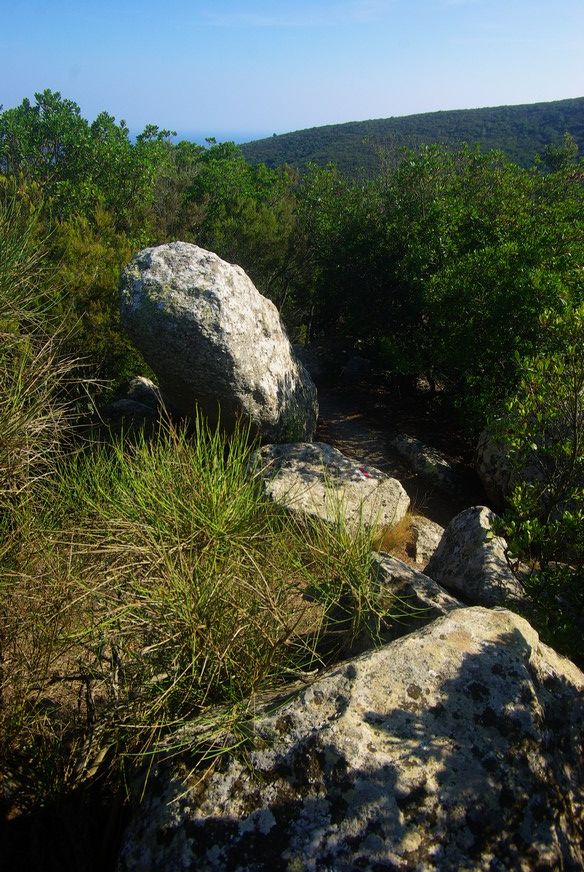 Monte Cocchero 3