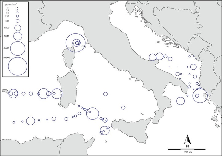 Pelagos-Plastic-Free-vortice