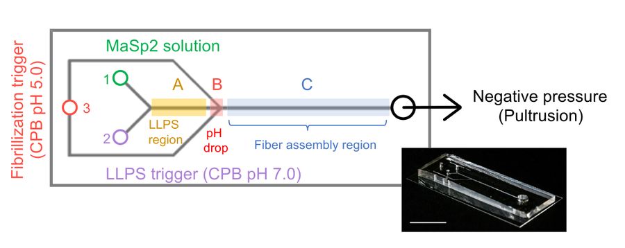 e4 fig3