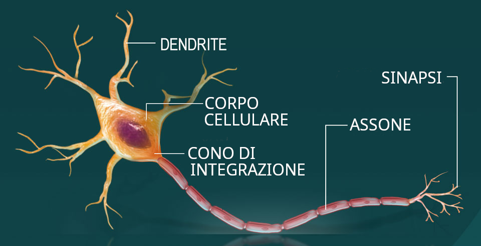 fig1 elbareport13