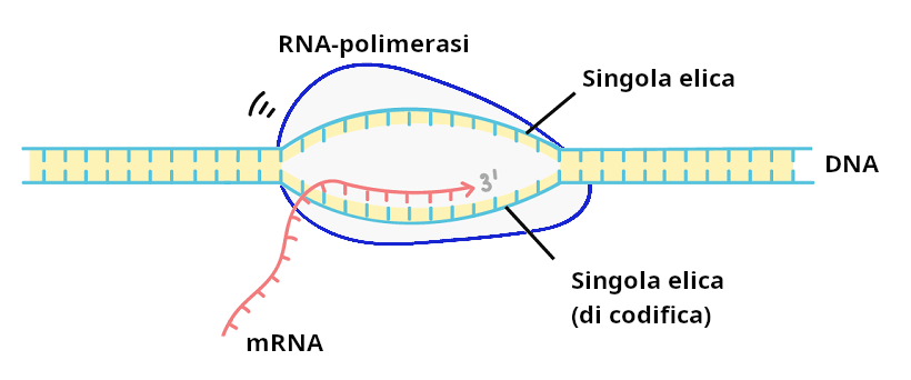 fig3 elbareport15