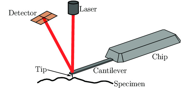 fig3 elbareport23