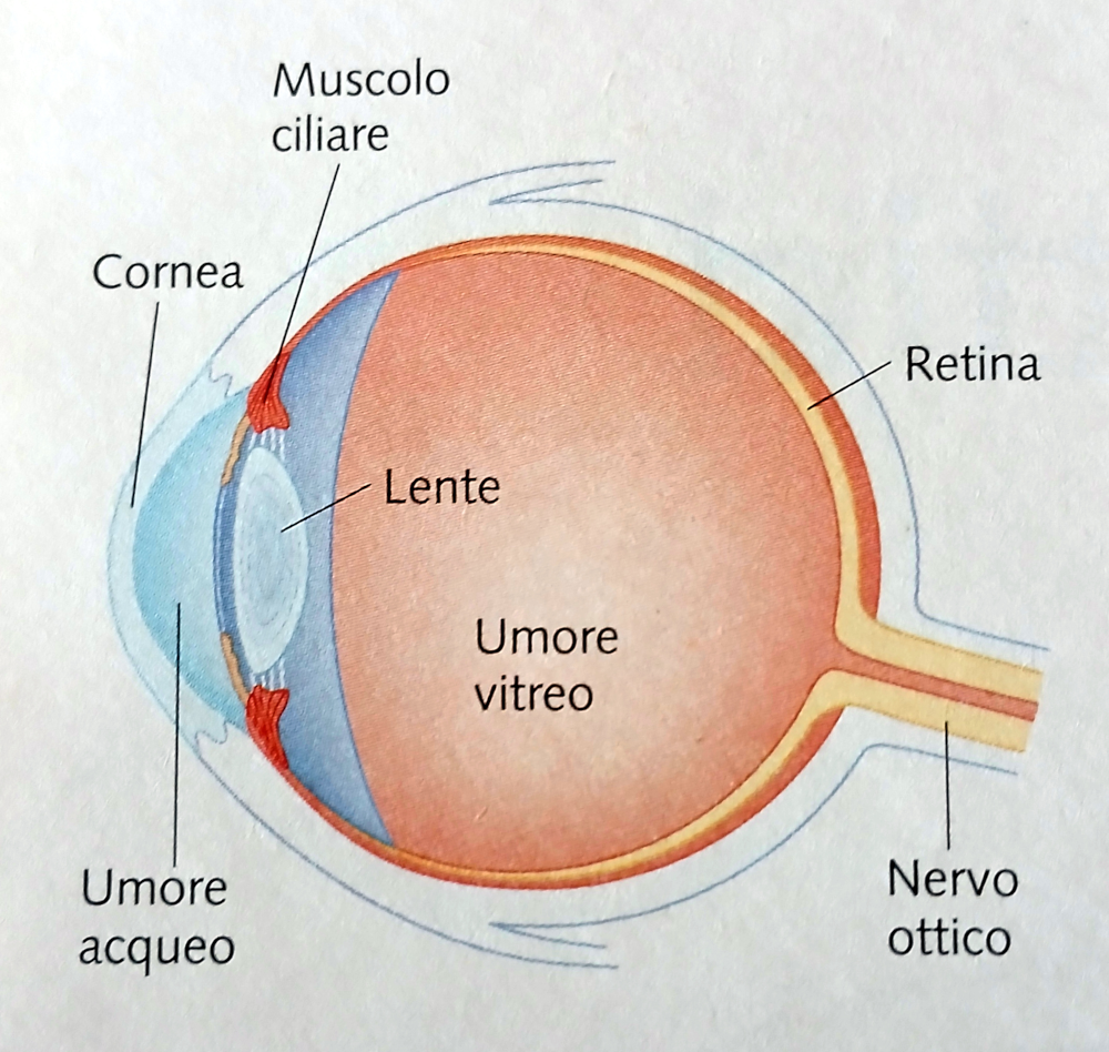 fig4 elbareport12