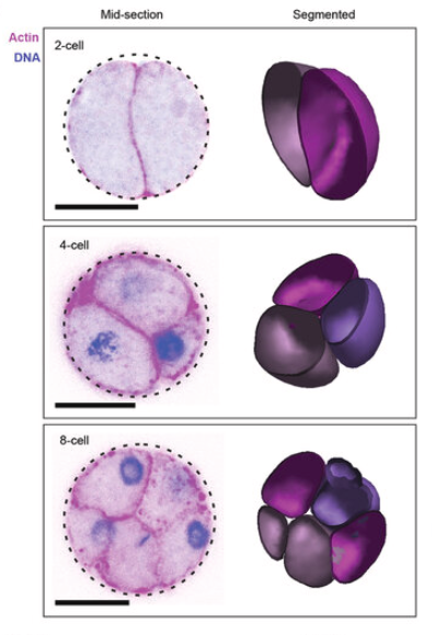 fig5 elbareport19