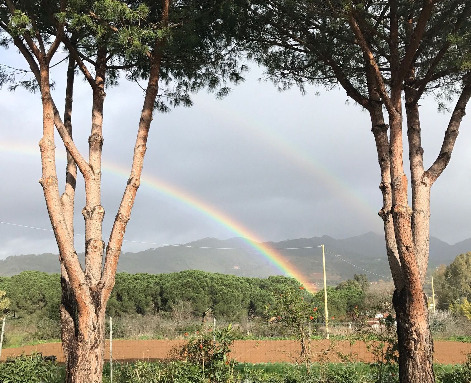 arcobaleno campo Francesco Paternò tg