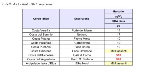 biota-mitili-2016