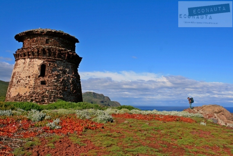 Capraia - Torre dello Zenobito