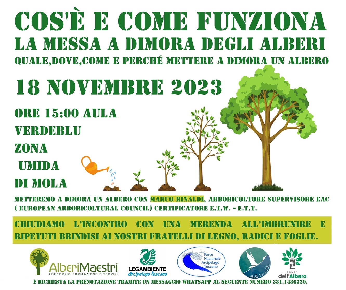 festa dell'albero