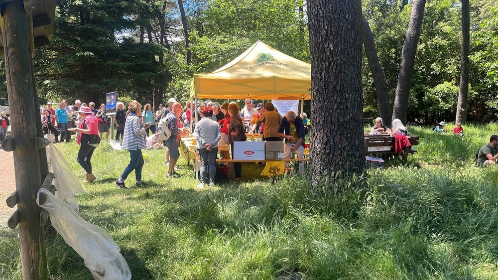 festa delle farfalle 2024 4