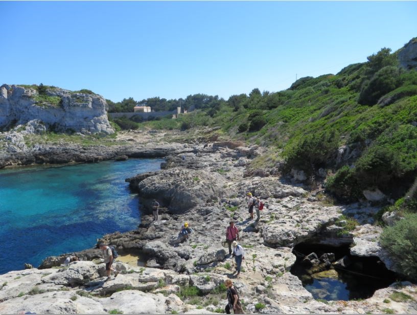 3 Pianosa 2 giugno a caccia di farfalle