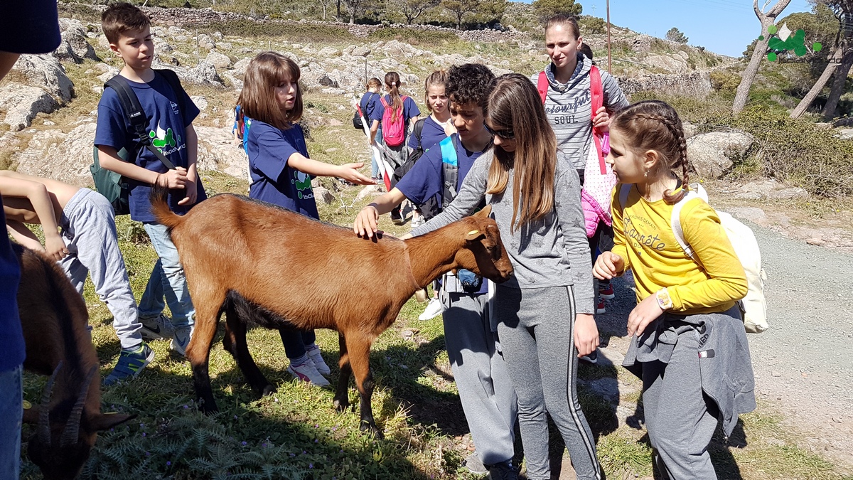 ISOLAMONDO CAPRAIA (14)