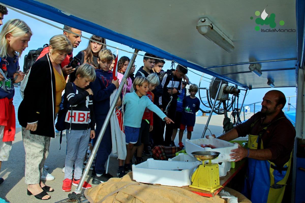 Iaschia, al molo dei pescatori