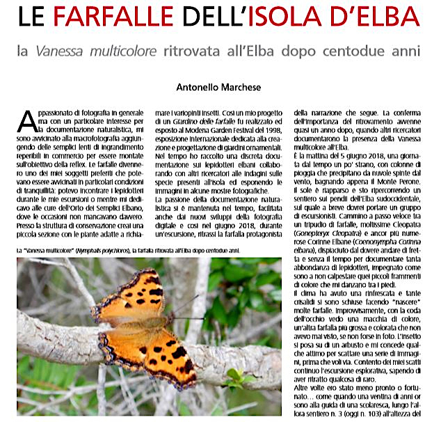 estratto da Reality pag 40 articolo marchese