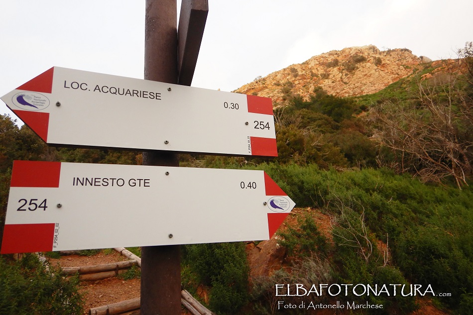 3-  il bivio per il volterraio lungo la vecchia strada maestra riese