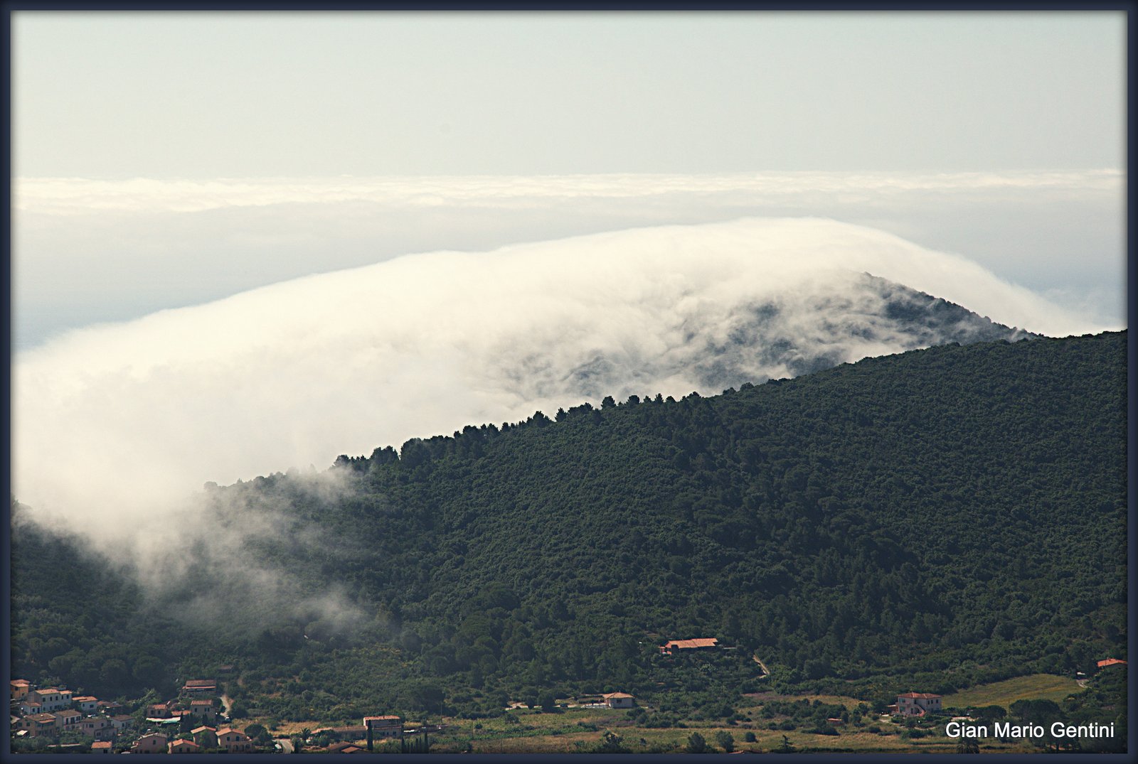 nebbia gentini