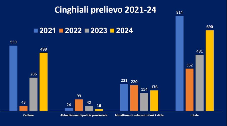 prelievo cinghiali 2024