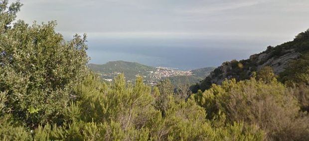 santuario delle farfalle 620