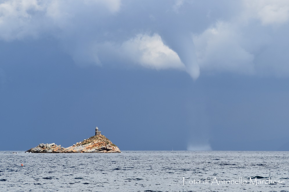 tromba marina foto marchese (2)