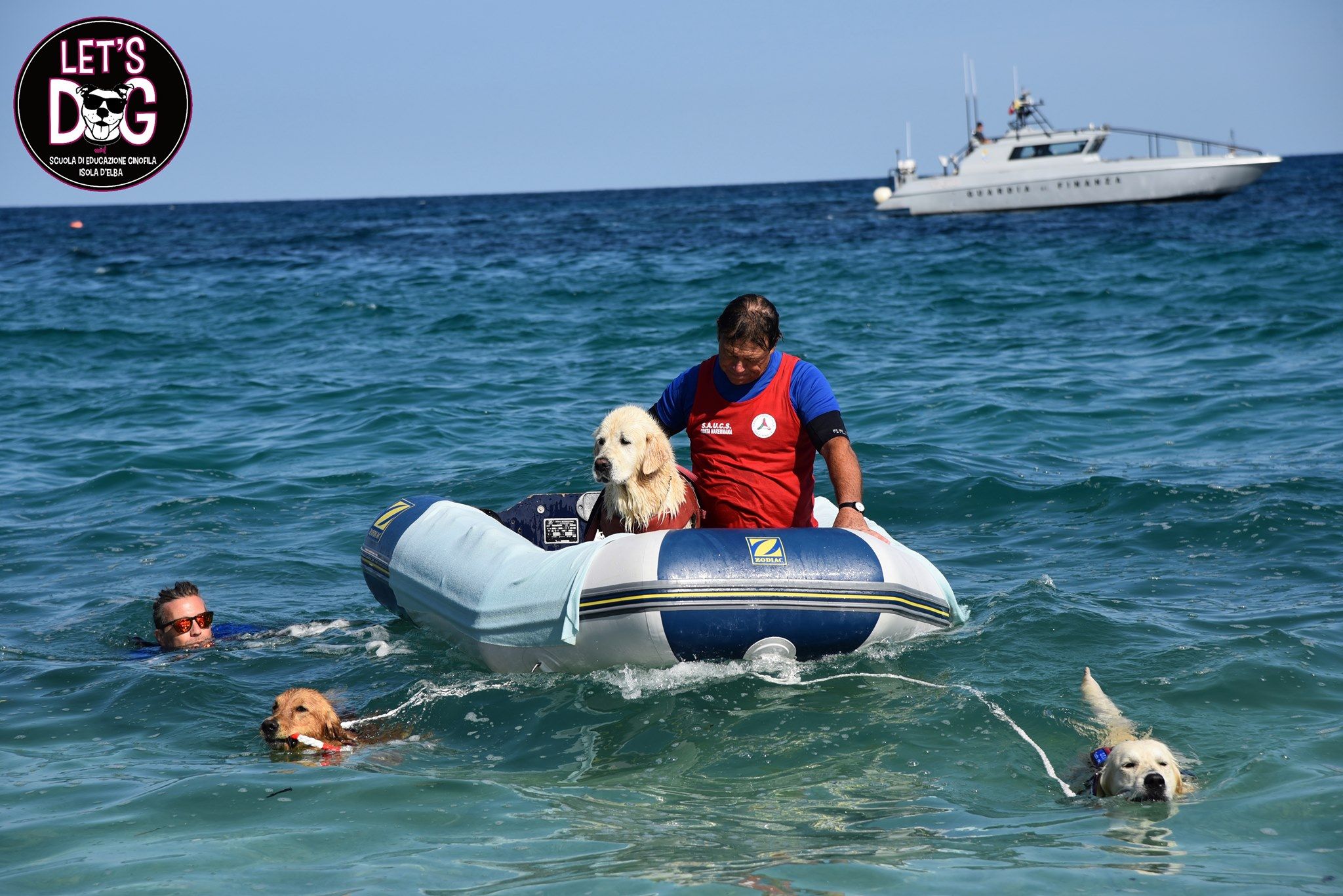 cani ghiaie salvataggio 1