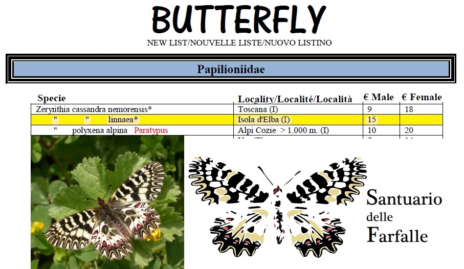 Ladri di farfalle listino