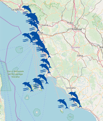 mappa delfini spiaggiati