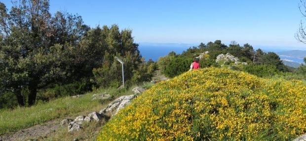 Santuario delle farfalle p 620