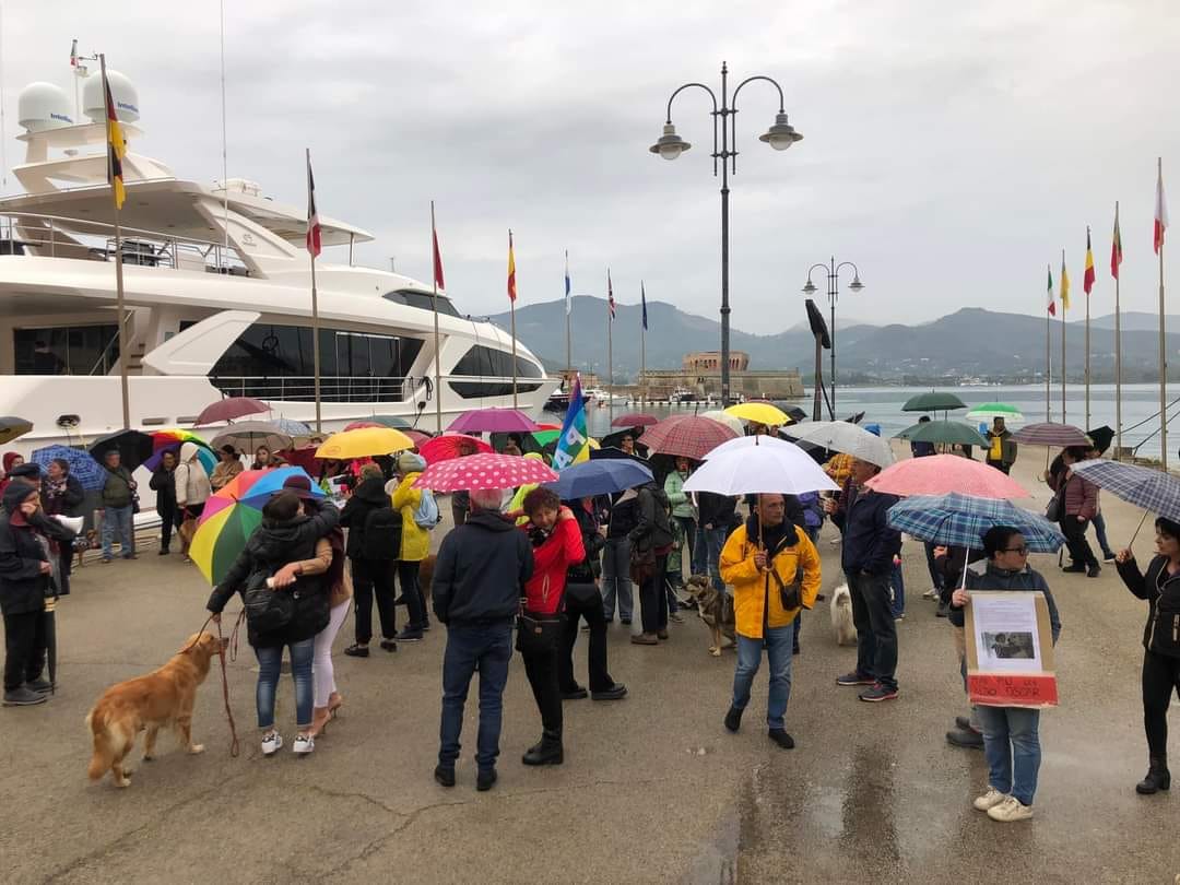 manifestazione clinica vet (1)