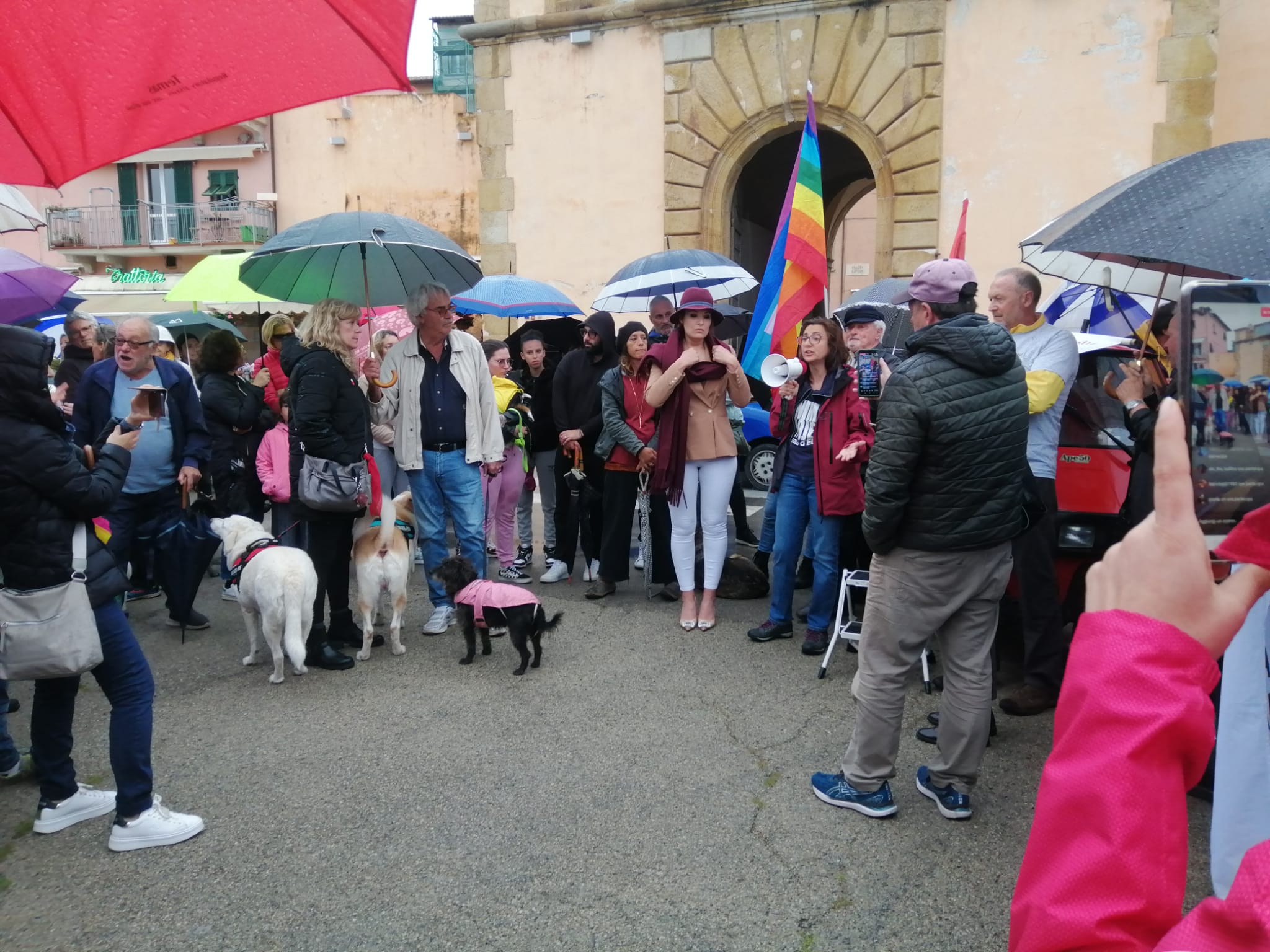 manifestazione clinica vet (4)