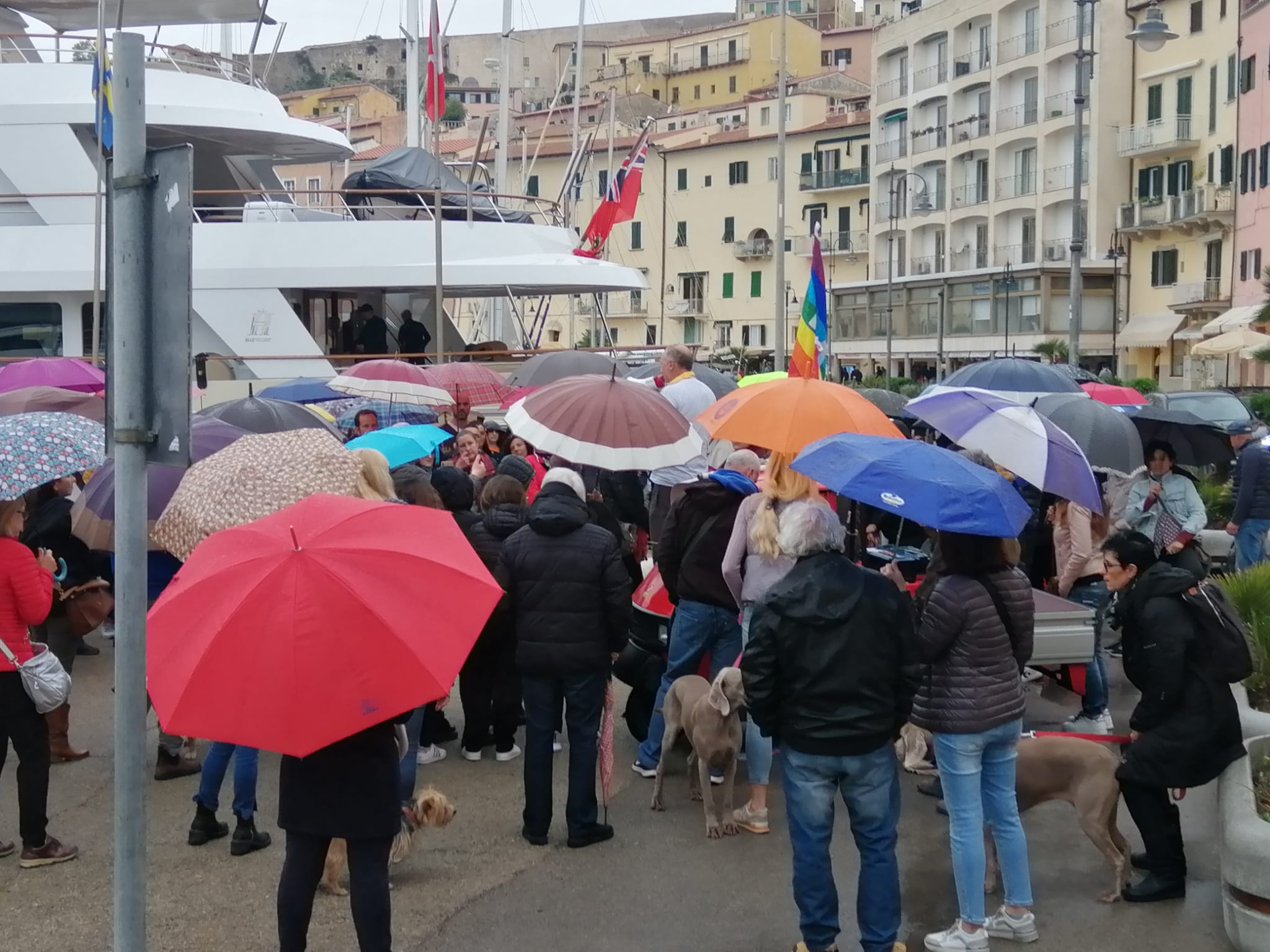 manifestazione clinica vet (5)