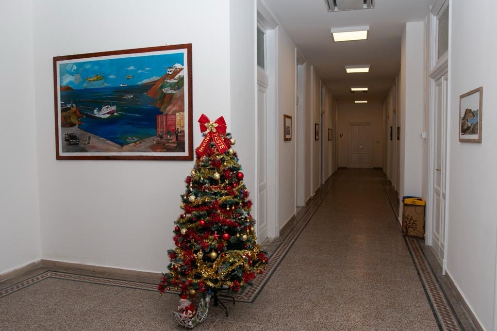 gdf albero