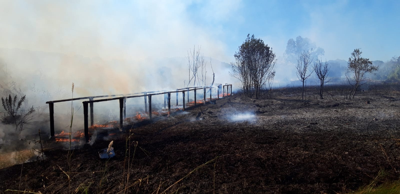 Incendio a Mola 1