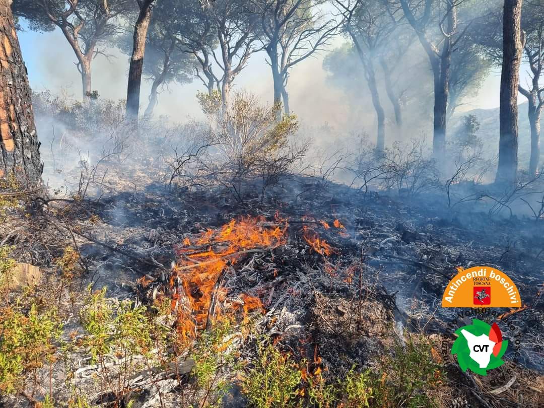 incendio rio elba 11 ago 1