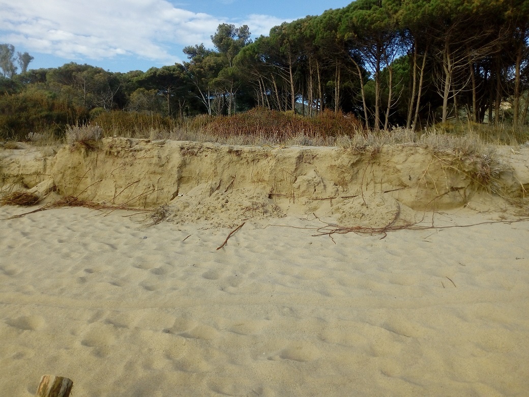 Lacona dune erose 1