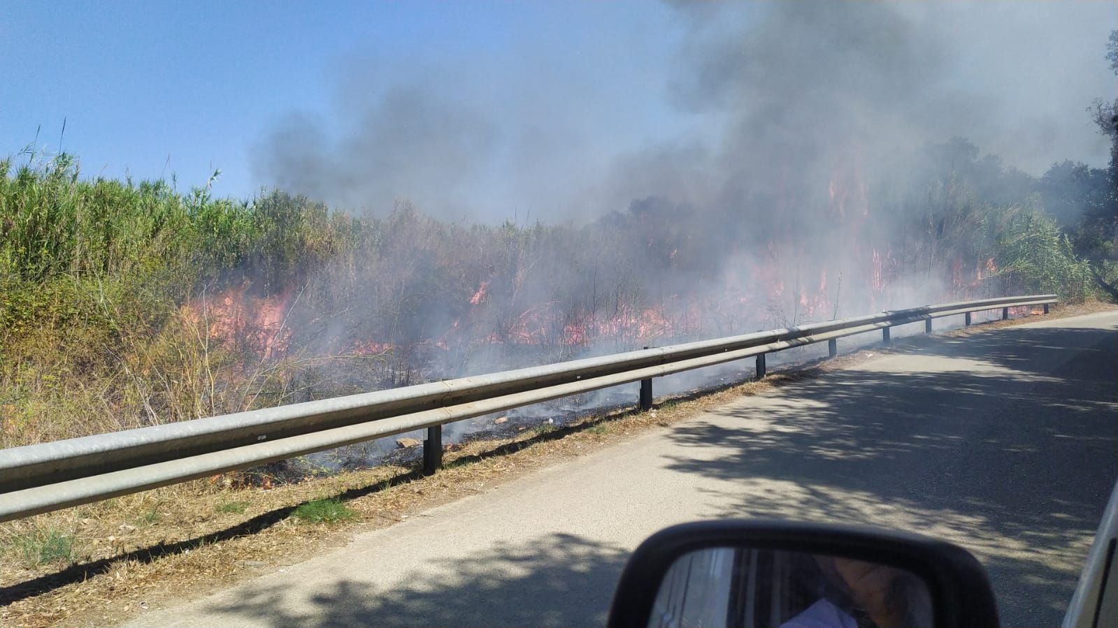 incendio canneto mola 2