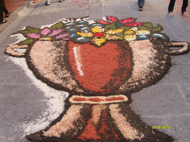 infiorata campo