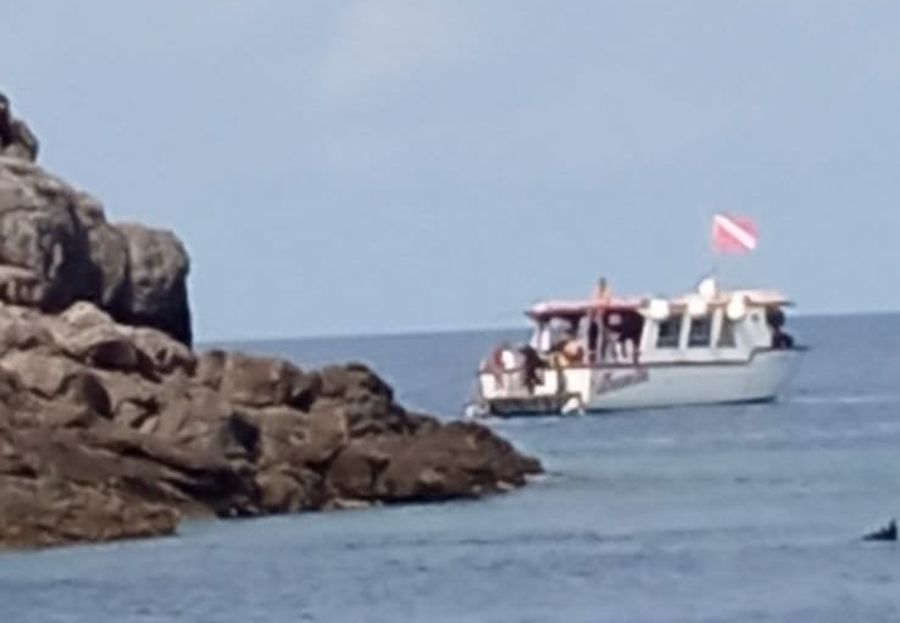 5 Foto diving Cala Maestra