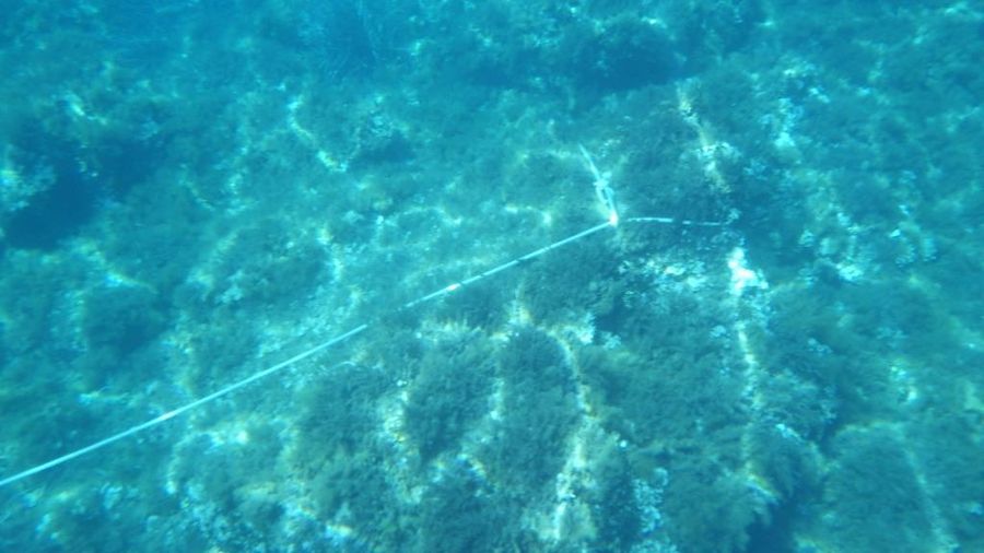 8 Cala del lino cima legata alla roccia