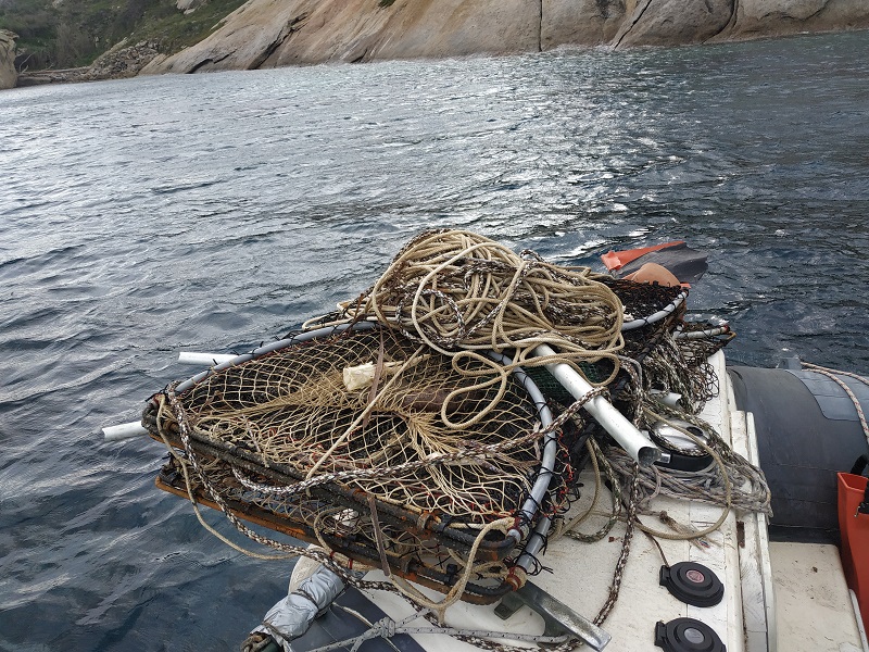 Divisione Sub Marevivo Isola del Giglio