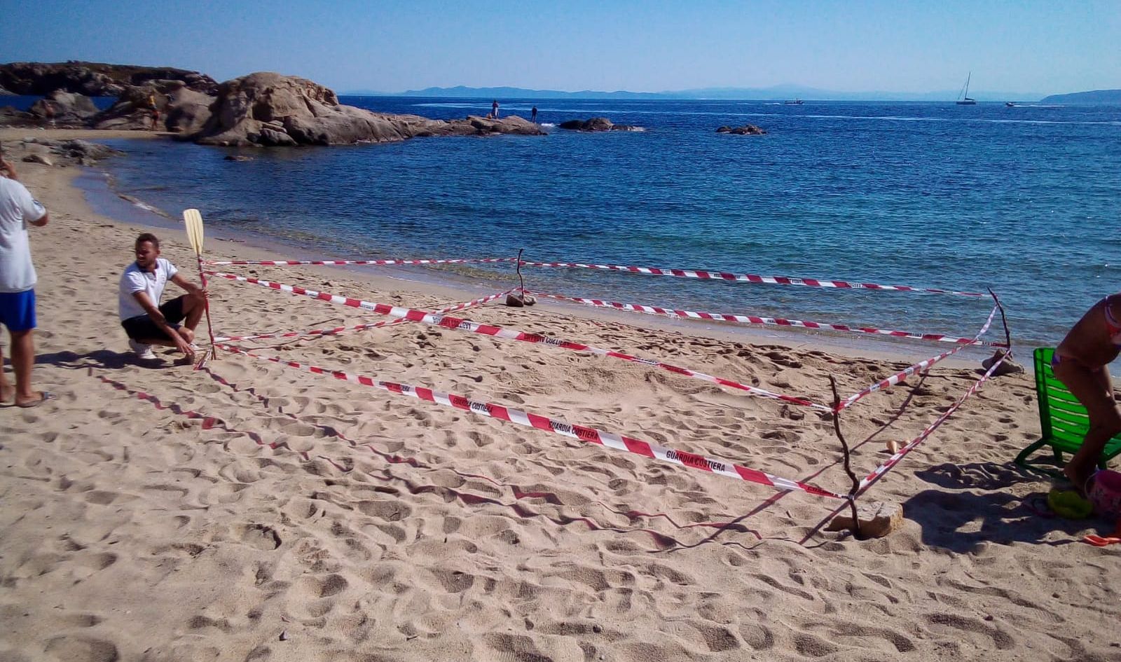 tartaruga giglio porto fettucciato 2