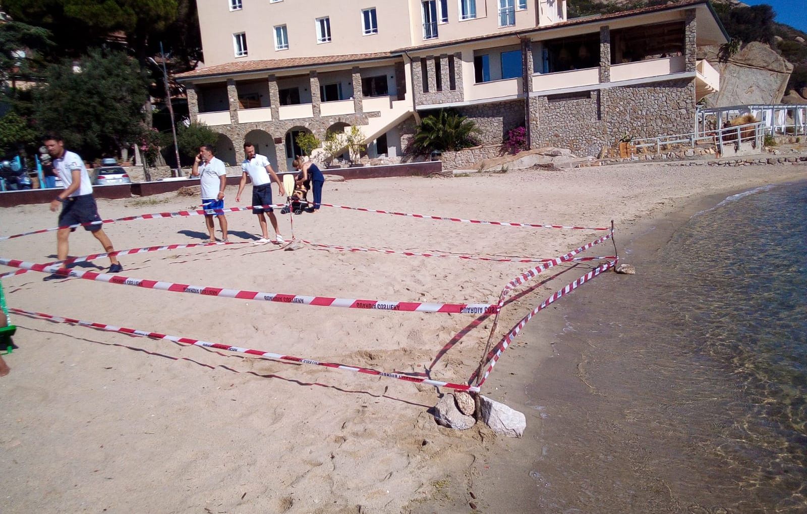 tartaruga giglio porto fettucciato