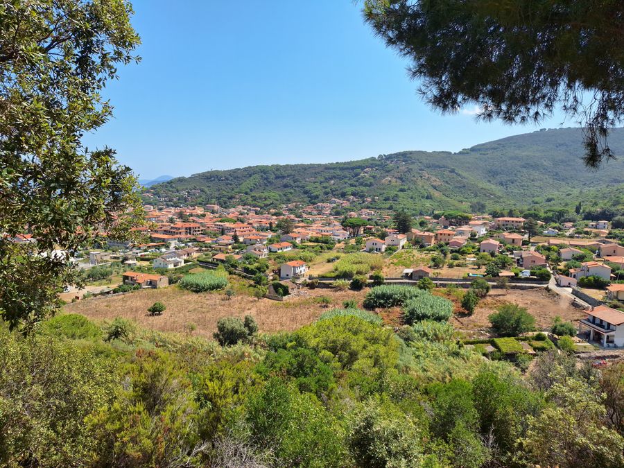 Area Ontanelli