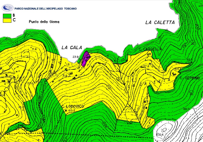 Cala 6