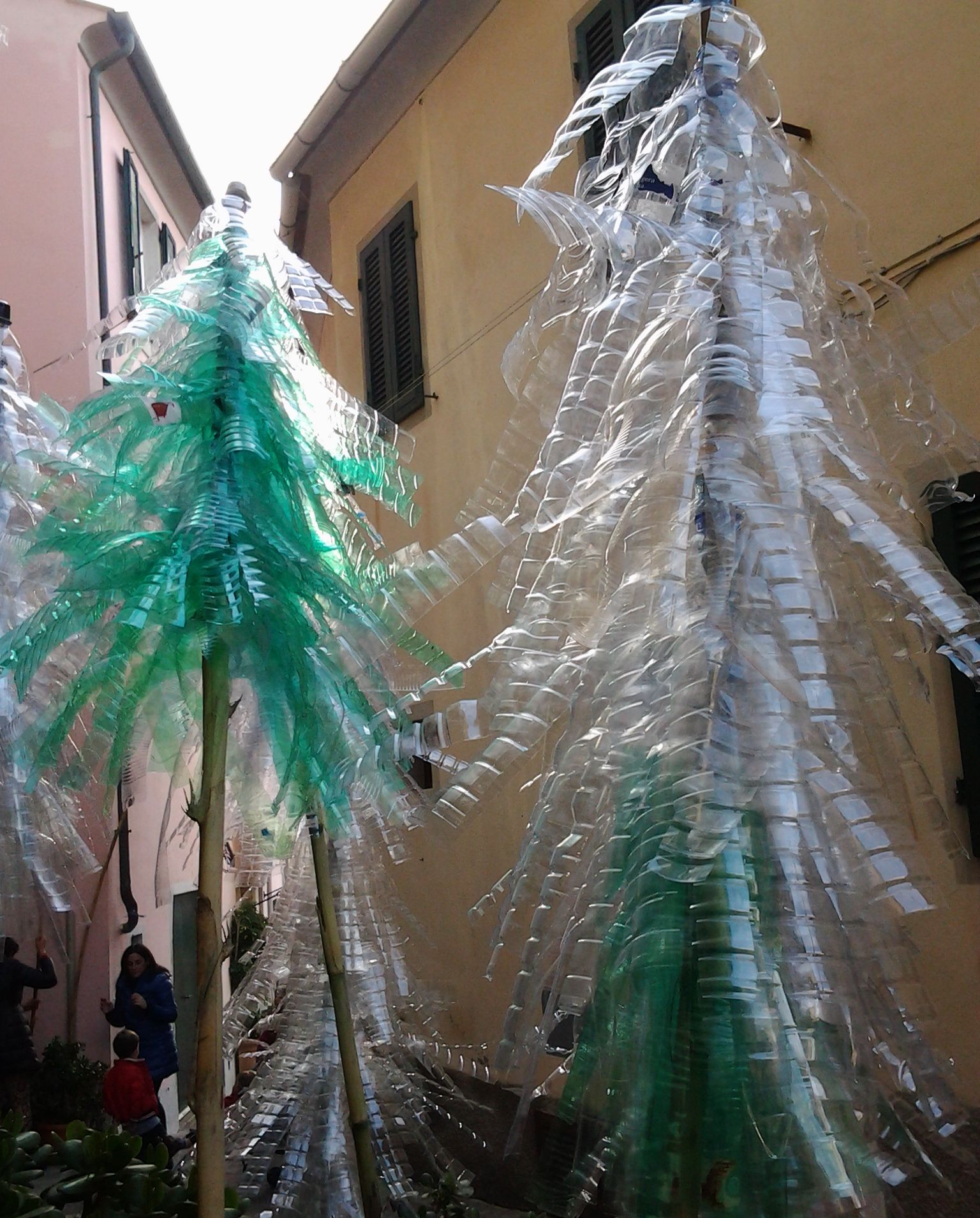 nuovo albero