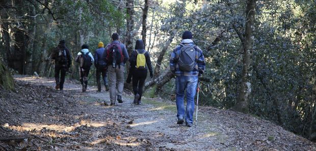 passeggiata bosco marciana 620