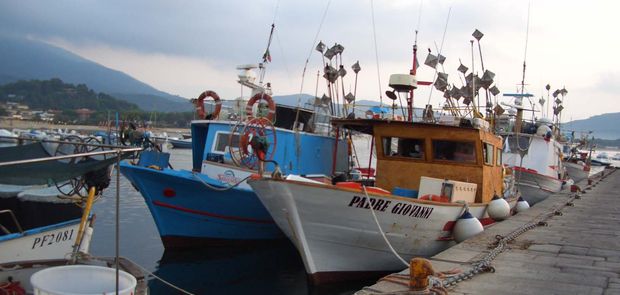 Marina di Campo - Motobarche 620