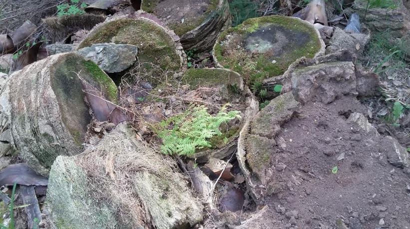 Monte Fabbrello discarica 7