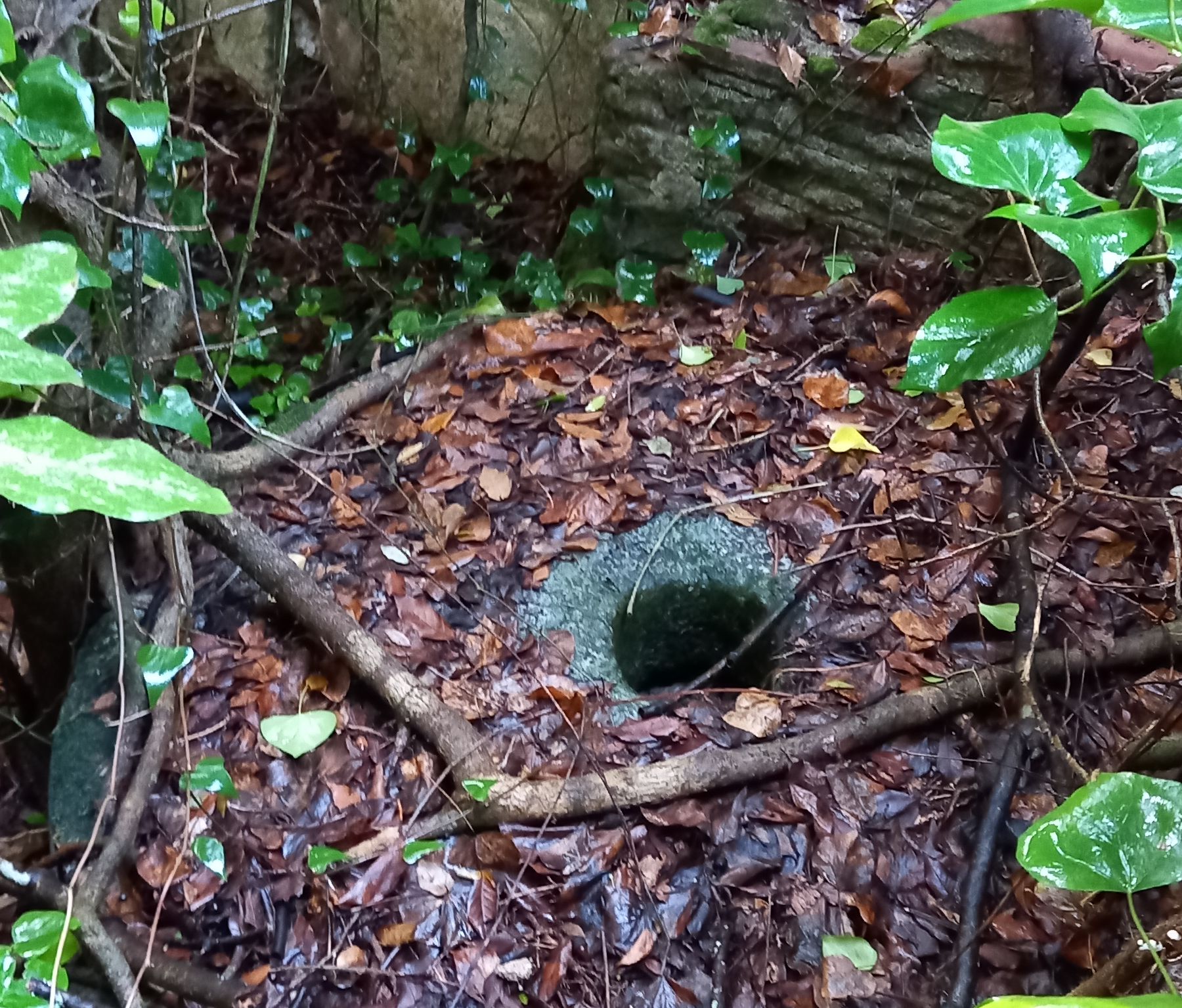 Interno del mulino ad acqua . Mole da macina in pietra